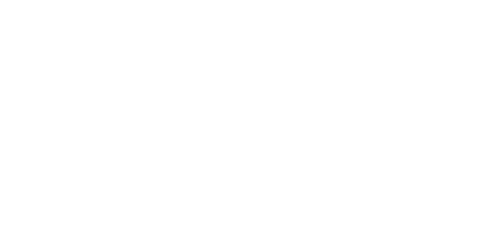 logo gt orizzontale bianco 1 1024x1024